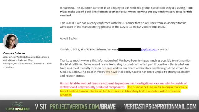 Pfizer Whistleblower LEAKS Execs Emails EXPOSING Suppression of Covid Vax Info From Public