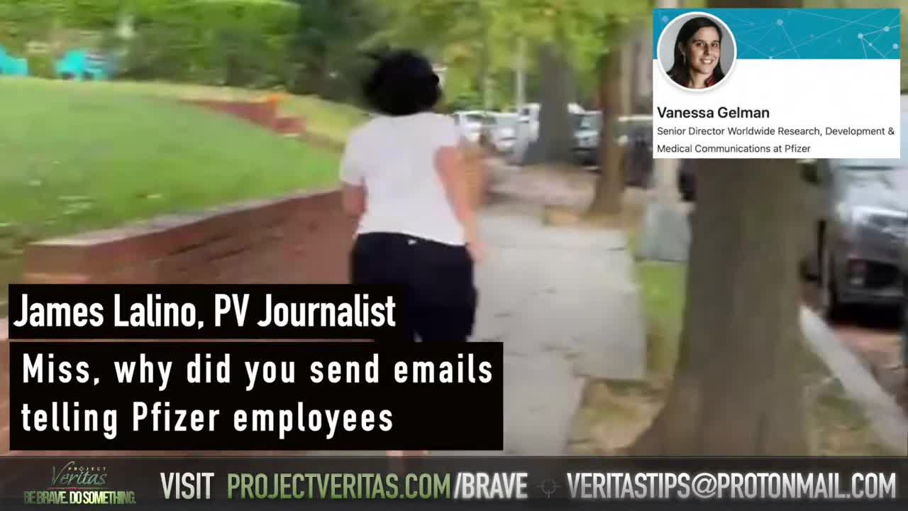 BREAKING: Pfizer Senior Director of Worldwide Research Vanessa Gelman RUNS from Veritas' Questions